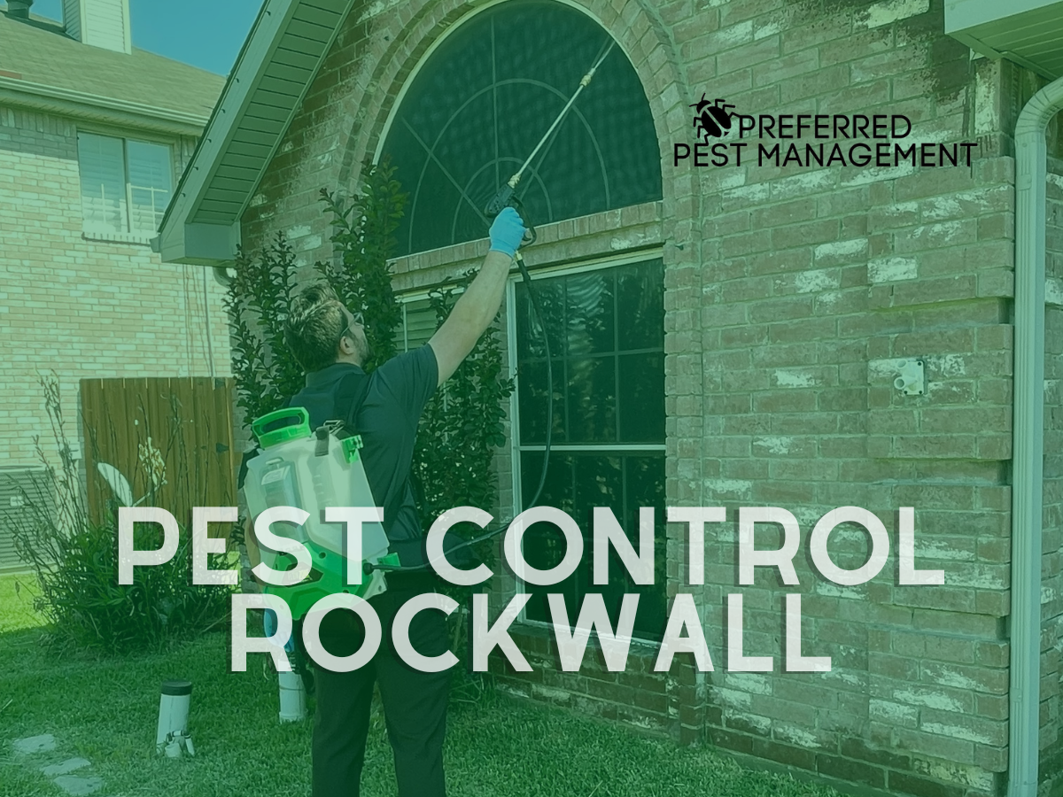 Pest Control Rockwall, TX Family & Pet Friendly Pest Control