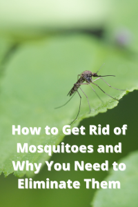 How to get of mosquitoes