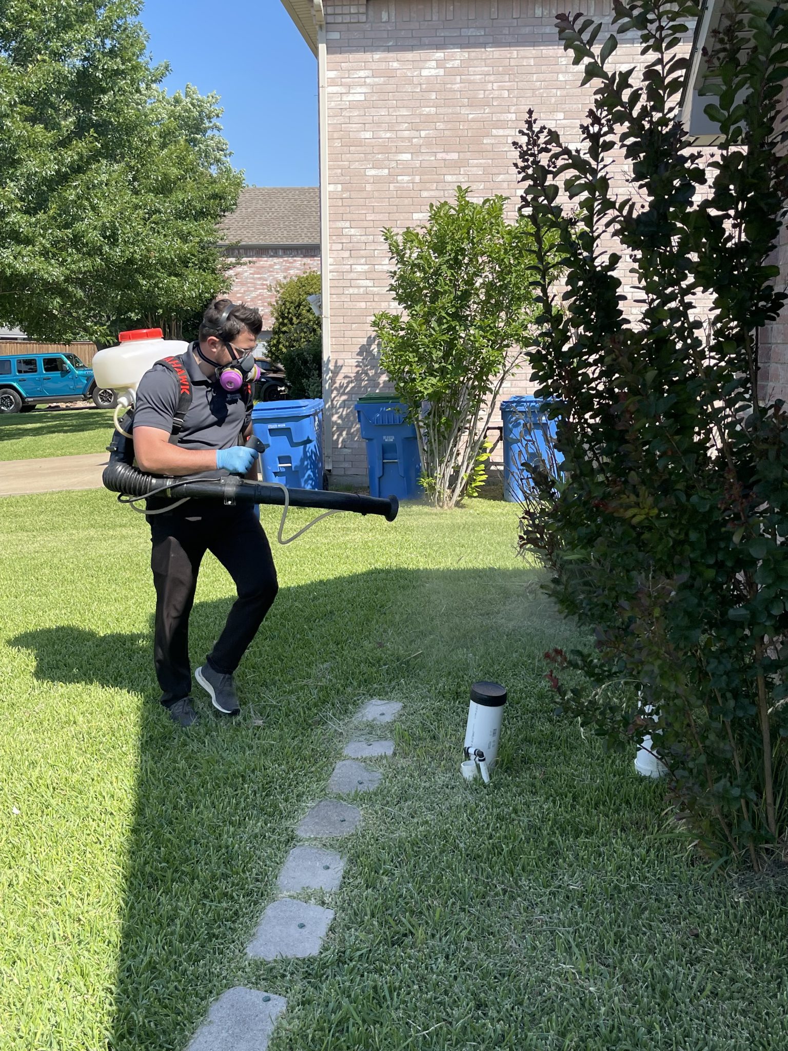 Mosquito Control in Frisco: Protecting Your Family During Peak Season ...