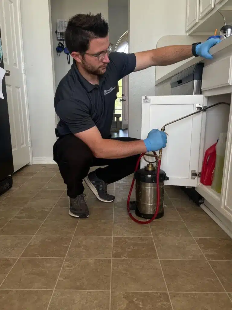 Preferred Pest Management technician applying German cockroach treatment inside a commercial kitchen cabinet using a professional sprayer in Dallas