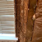 termite damages