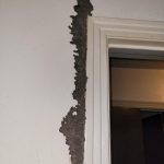 subterranean termite damage