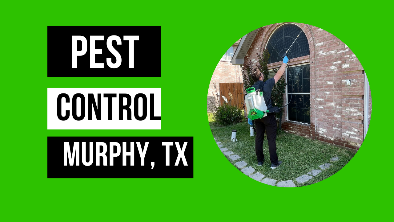 Pest Control Murphy Preferred Pest Management Pest Control