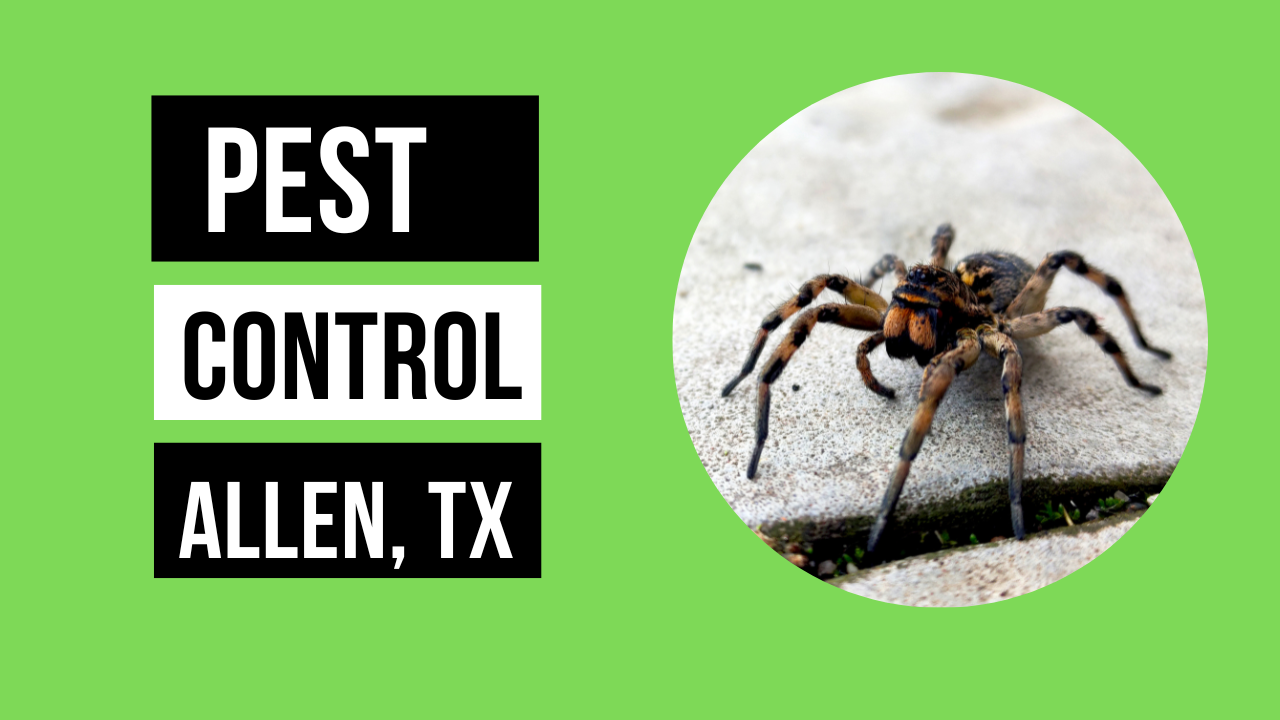 Pest Control Allen, TX - Preferred Pest Management