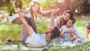 summer pest control