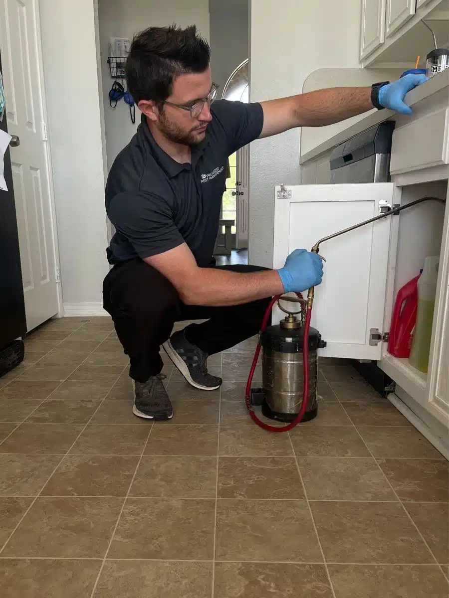 Pest control technician treating under kitchen sink for centipedes in Richardson, TX home