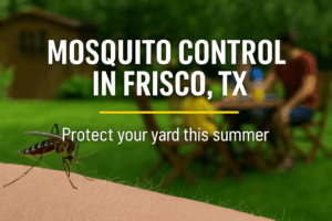 how to get rid of mosquitoes