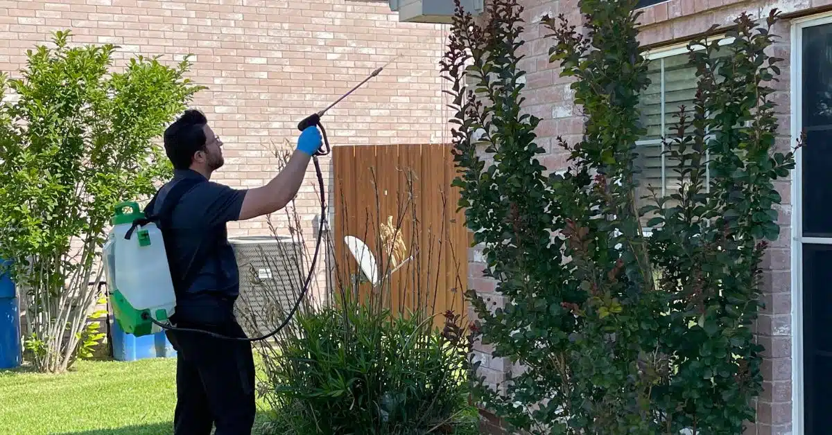 Pest control technician treating exterior of a Rockwall TX home with professional spray equipment