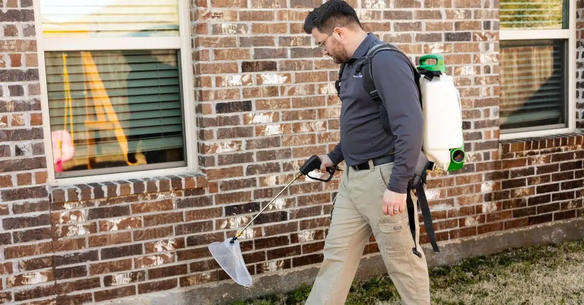 Preferred Pest Management technician performing exterior ant control treatment at a Murphy TX home