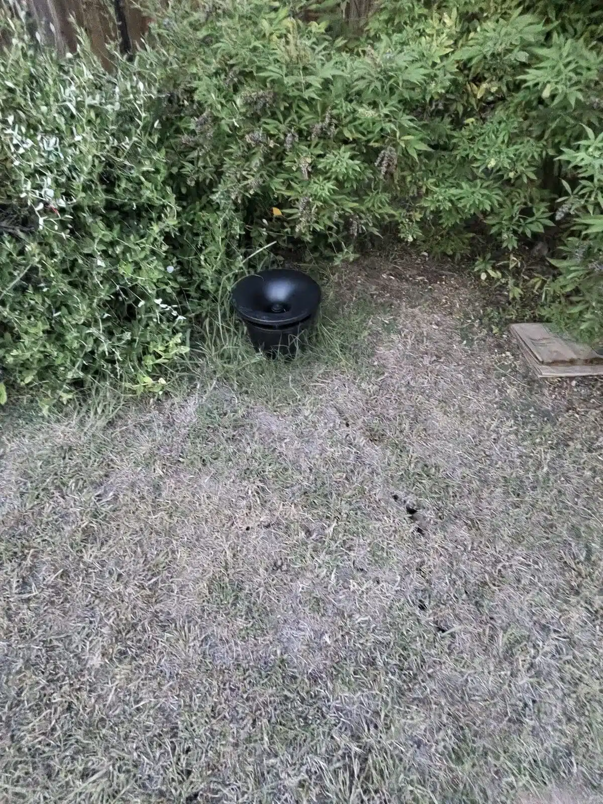 Mosquito station in a shaded Wylie, TX backyard for West Nile North Texas 2026 prevention